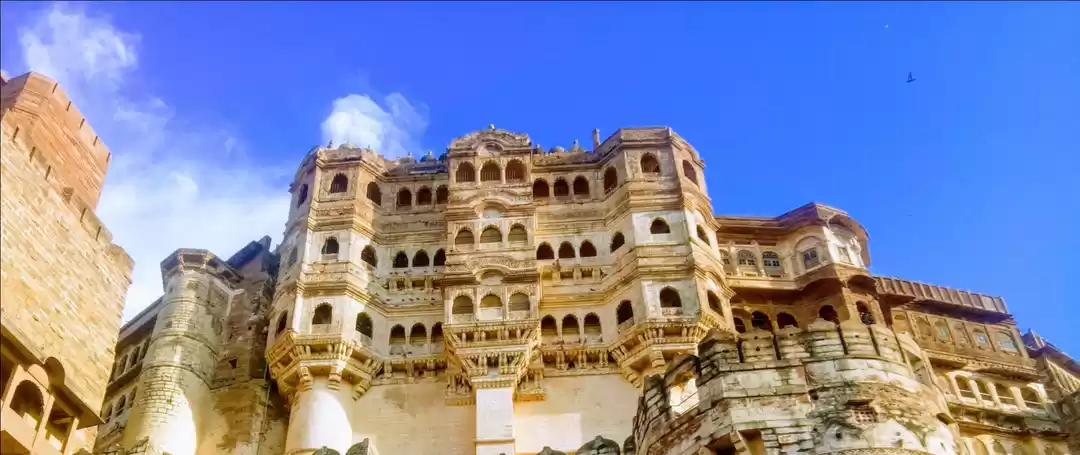 Photo of #Rajasthan dairies -