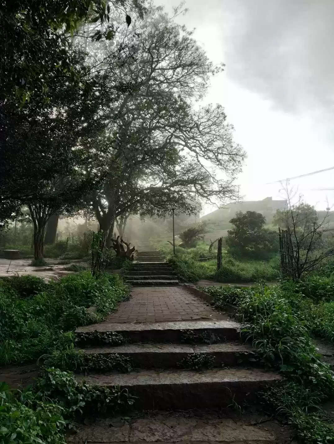 Photo of Nandi Hills - An exq