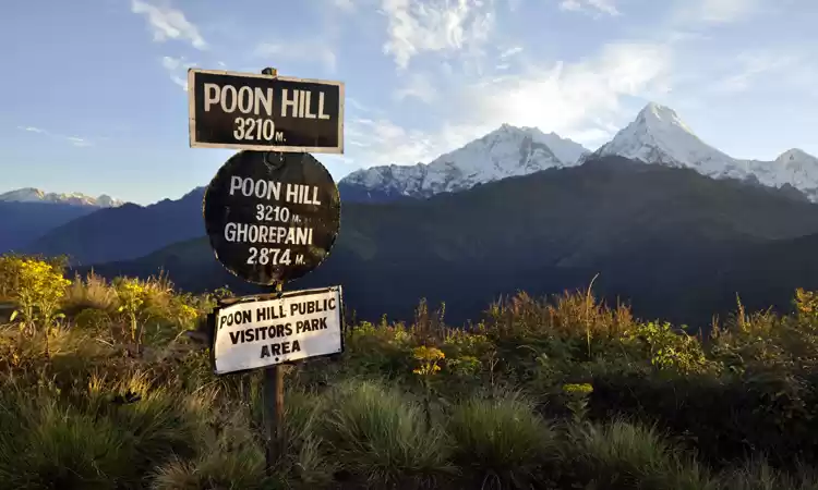 Photo of Ghorepani Poon Hill 