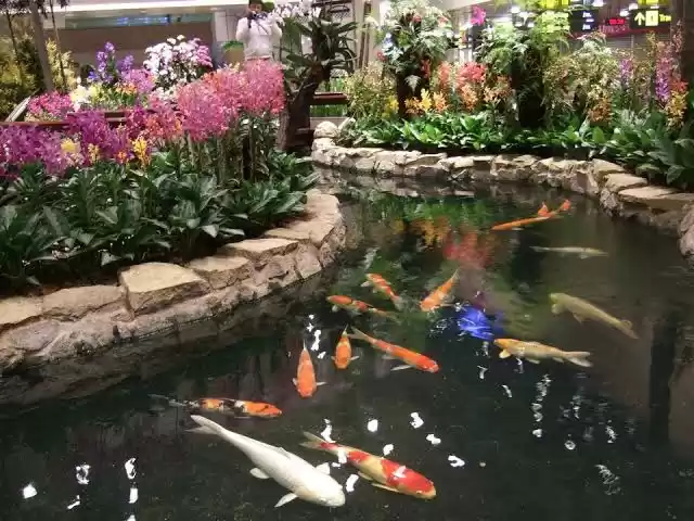 Photo of Honeymoon trip to he