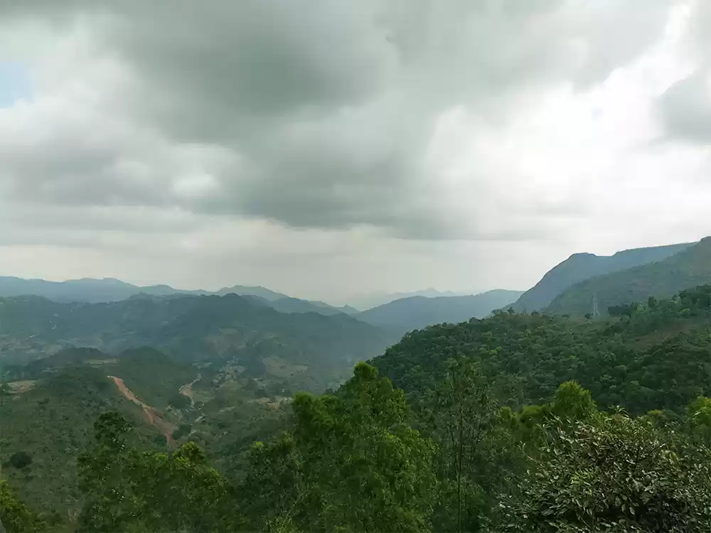 Photo of The Famous Coffee Tr