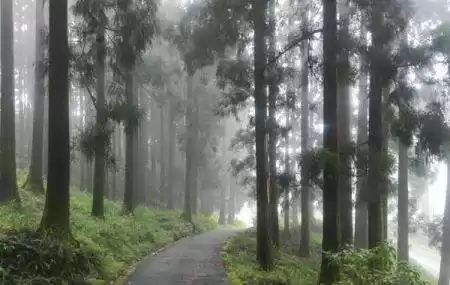 Photo of Horror Tales of Dow