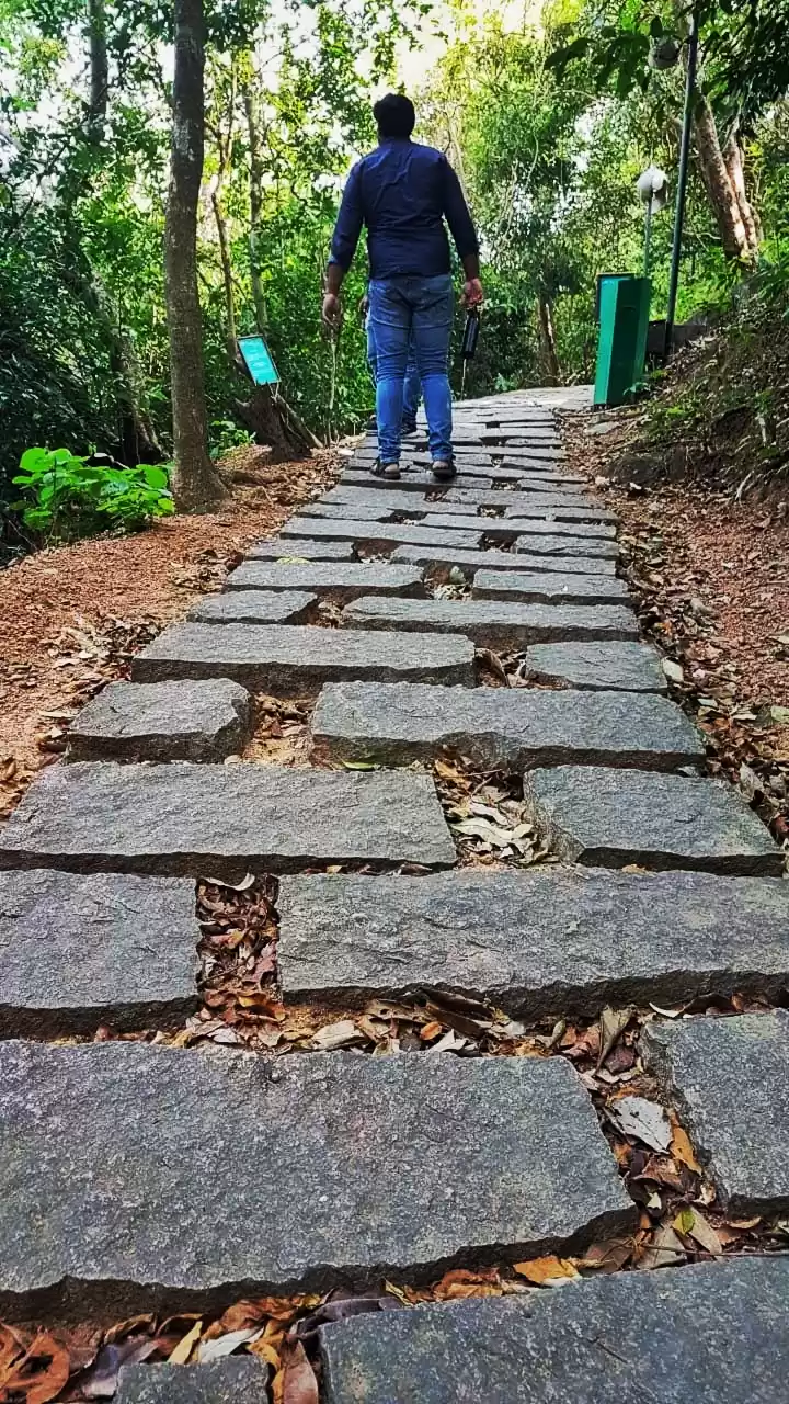 Photo of Thenmala Eco Tourism