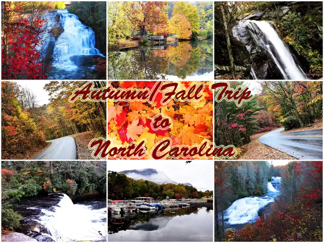 Photo of Autumn/Fall Trip to