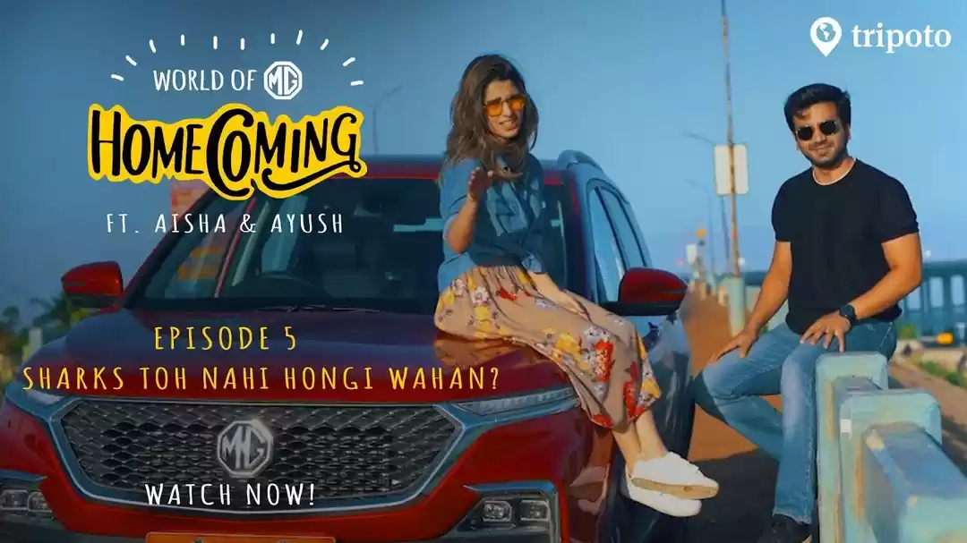 Photo of When the Travel Bug