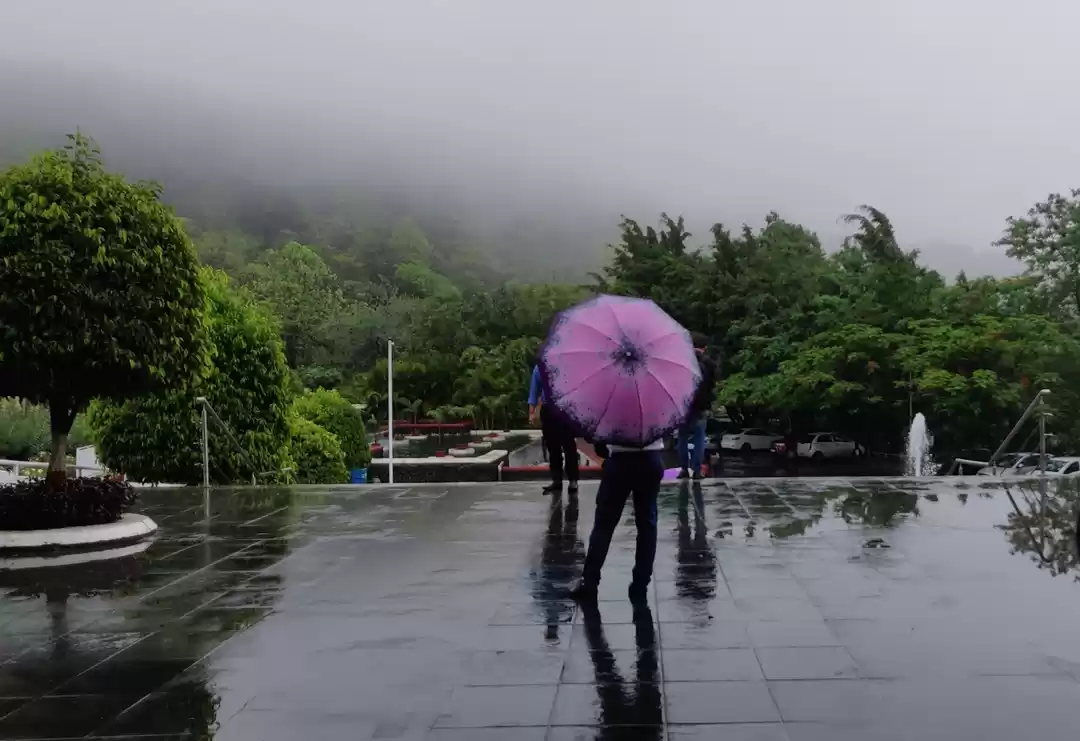 Photo of Reminiscing over the