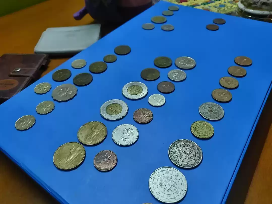 Photo of My Old and Foreign C