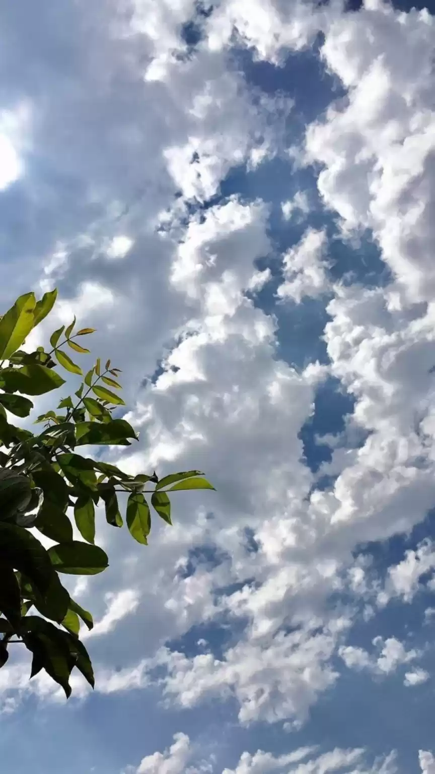 Photo of Bangalore skies | Pu