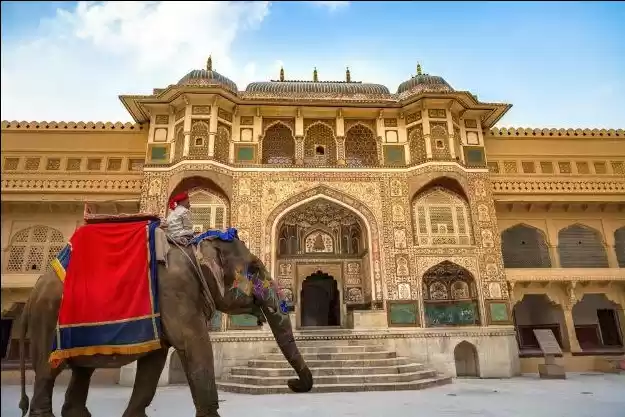 Photo of PETA India's EV Char