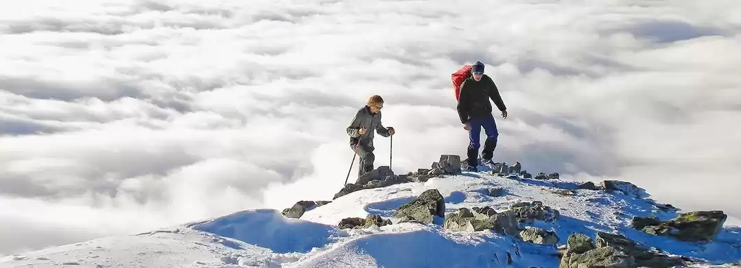 Photo of What is AMS? Can it