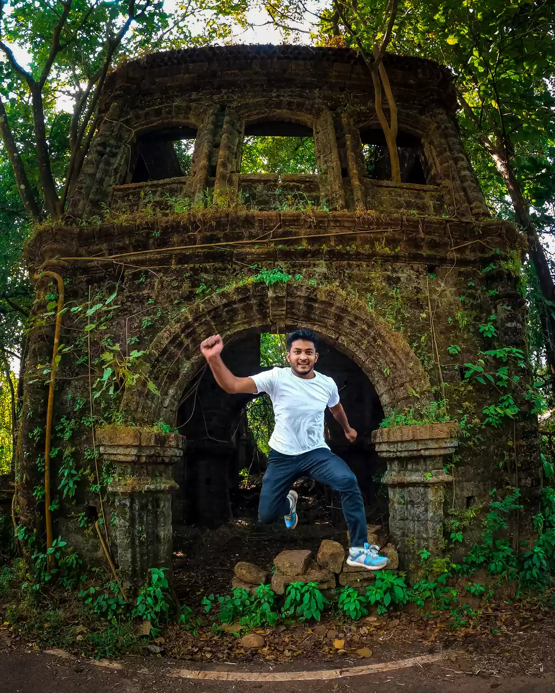 Photo of Old Tree Haunted Hou