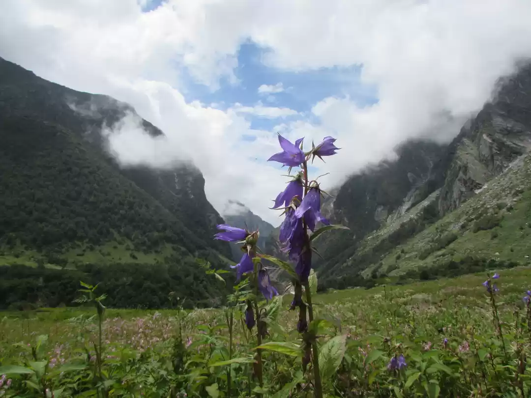 Photo of Memories from where