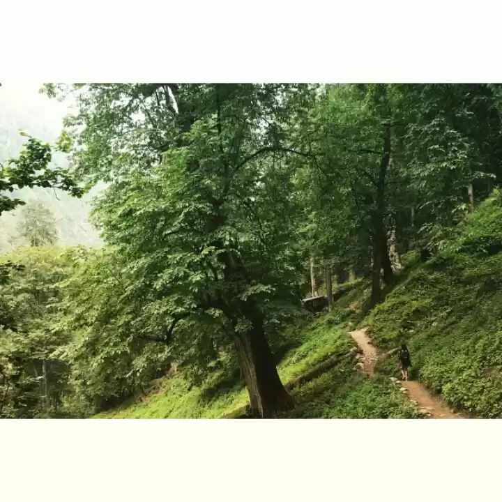 Photo of Rejuvenate up high!