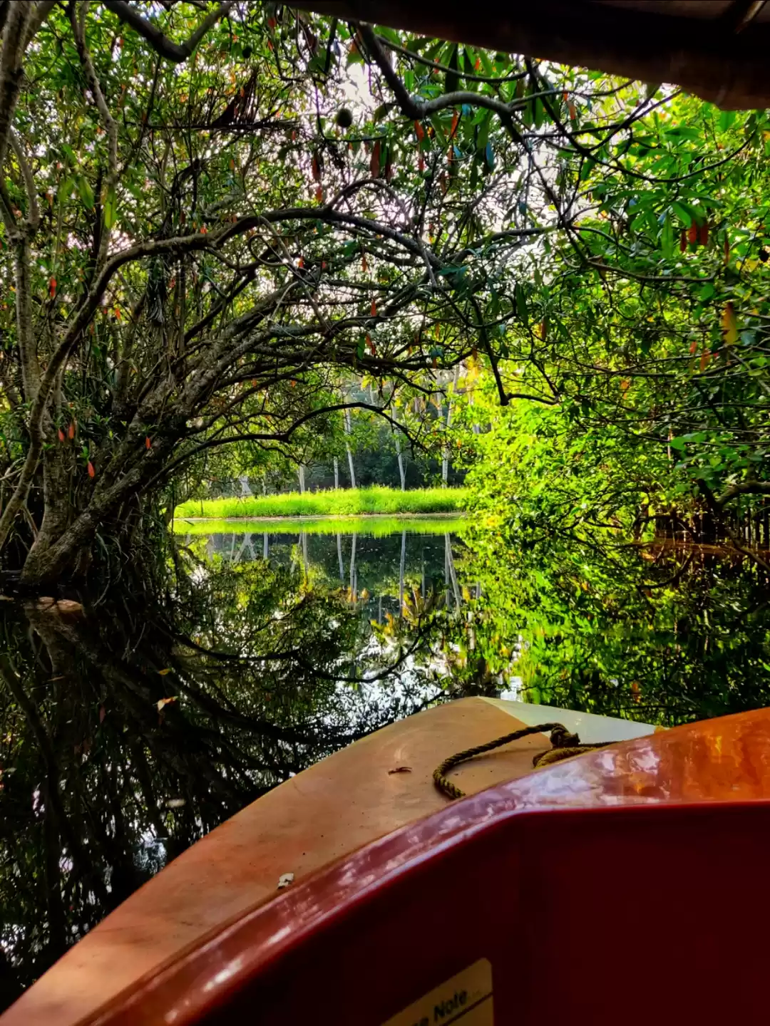 Photo of Boating at Poovar Is
