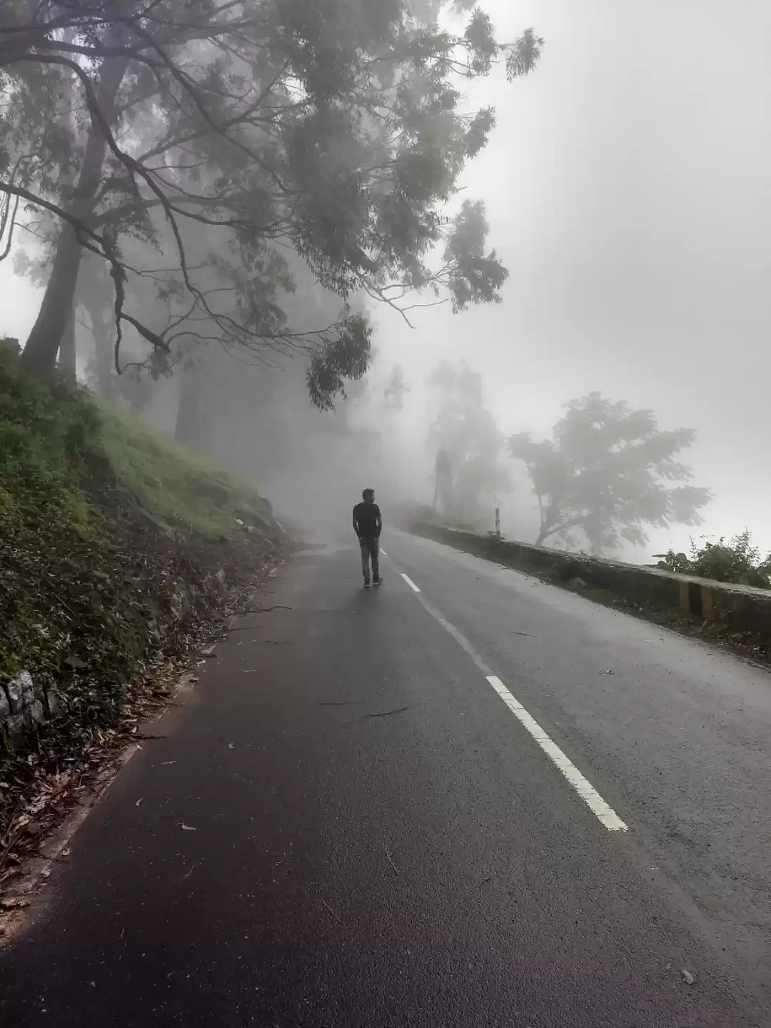 Photo of Kissed by the Mist!
