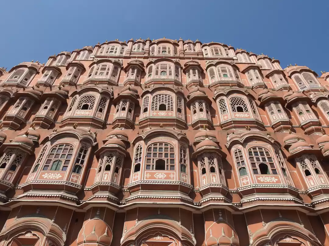 Photo of Rendezvous with Pink