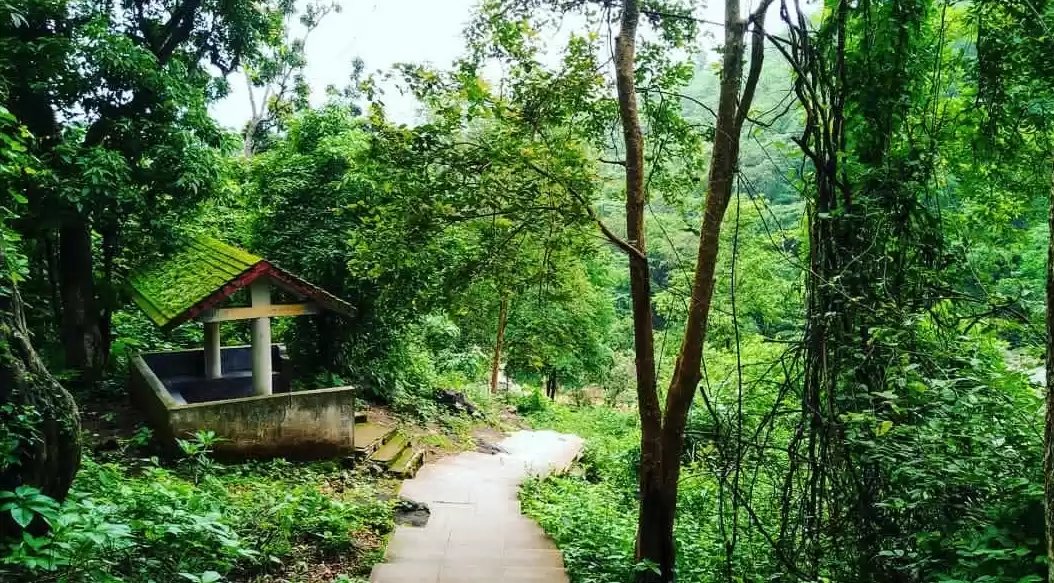 Photo of पंचघाघ झरना और हिरण