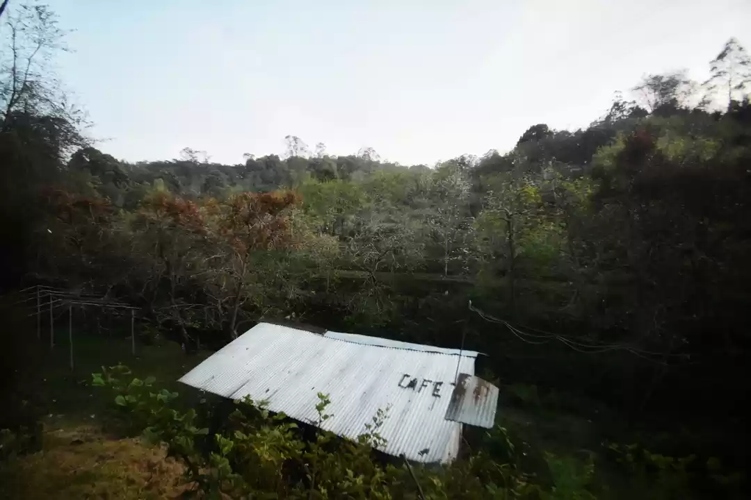 Photo of A lesser known hippi