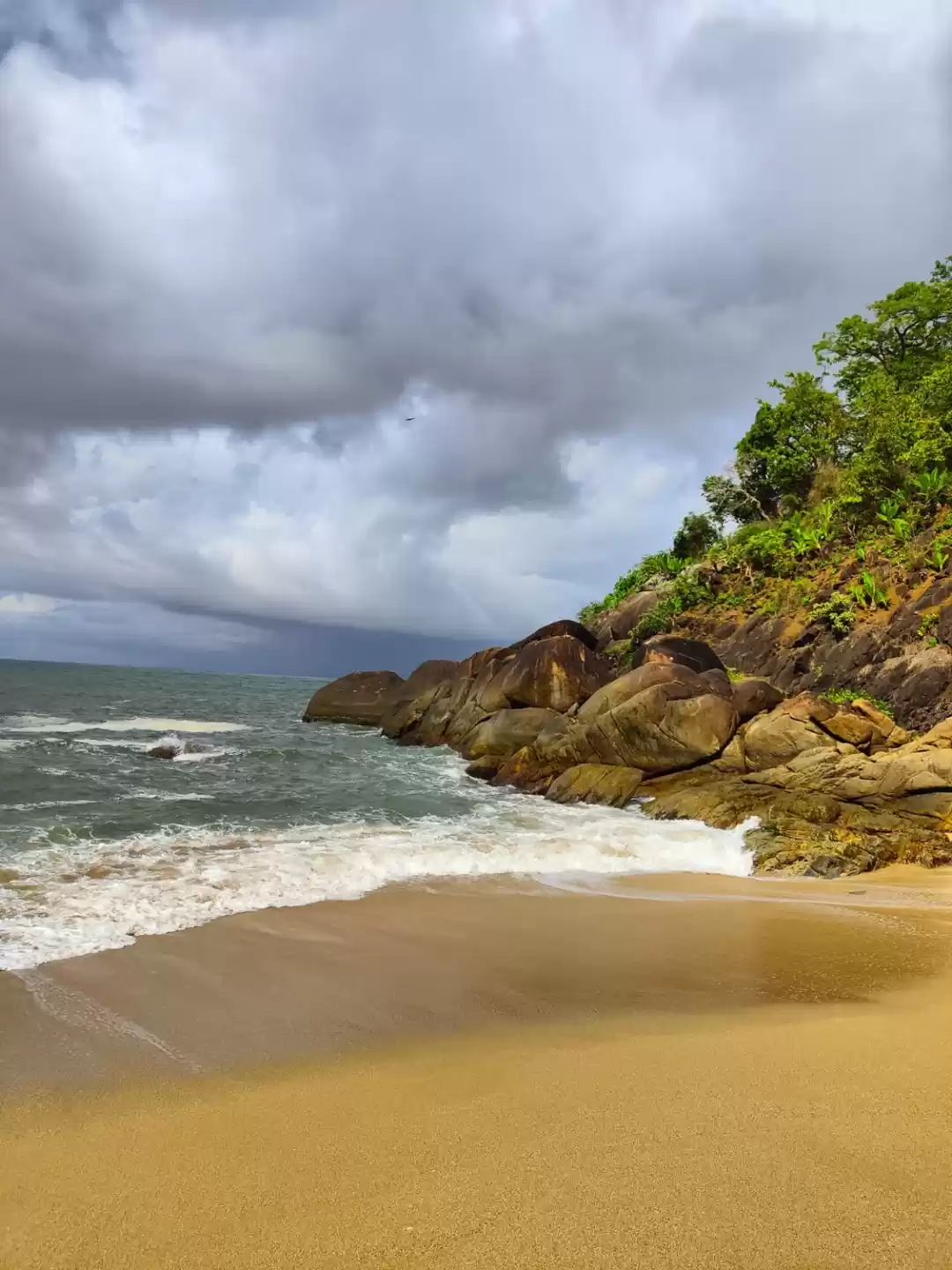 Photo of Butterfly beach 