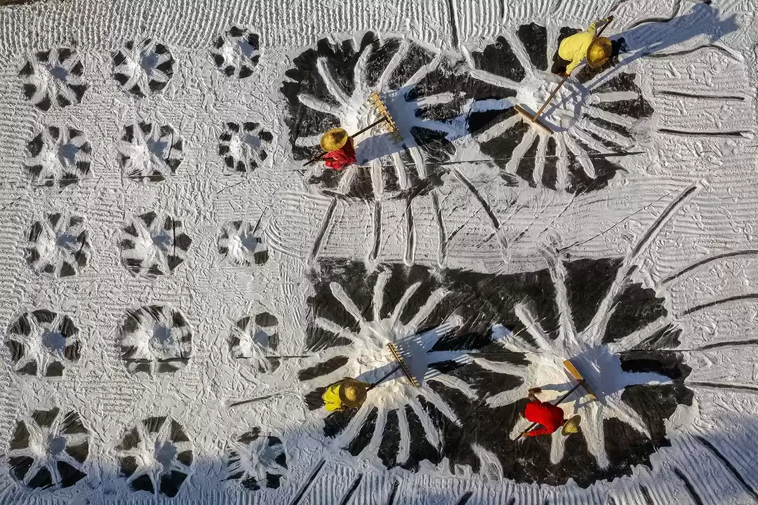 Photo of Salt Lake Harvesting