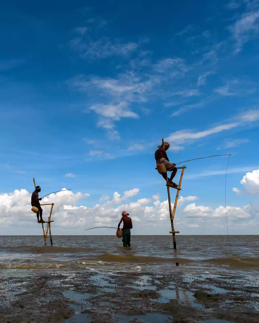 Photo of Stilt Fishing in Wes