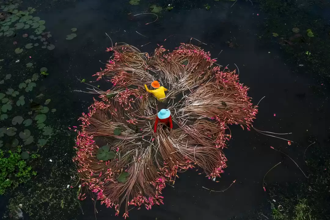 Photo of Collecting Red Water