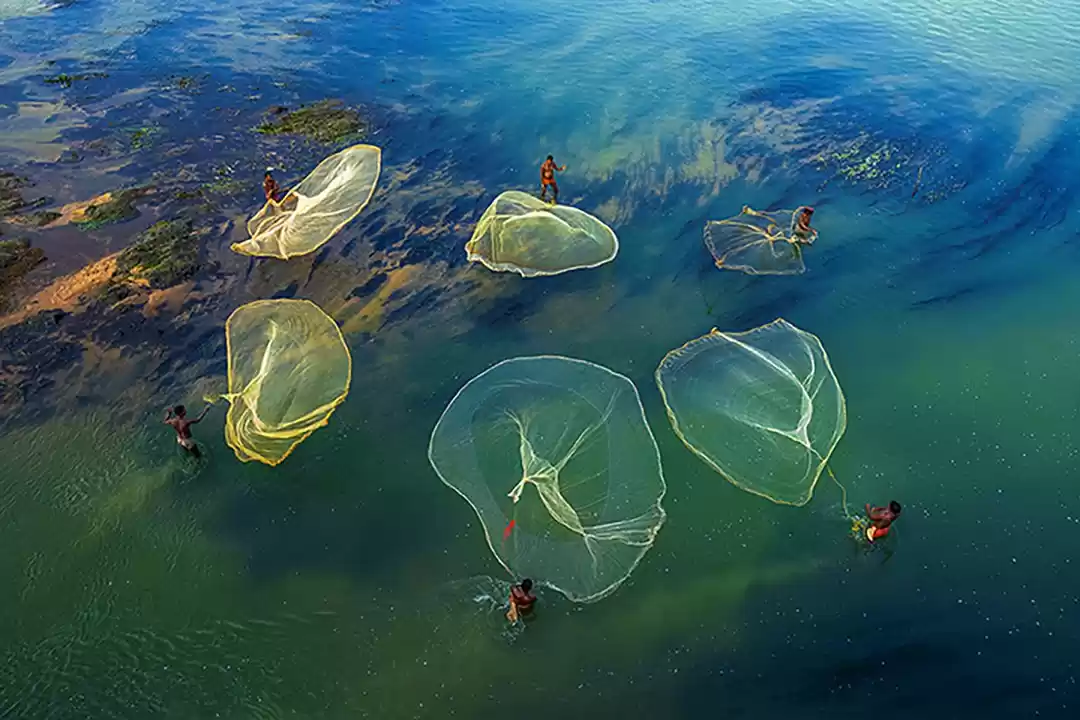 Photo of Let the Eye Travel: 