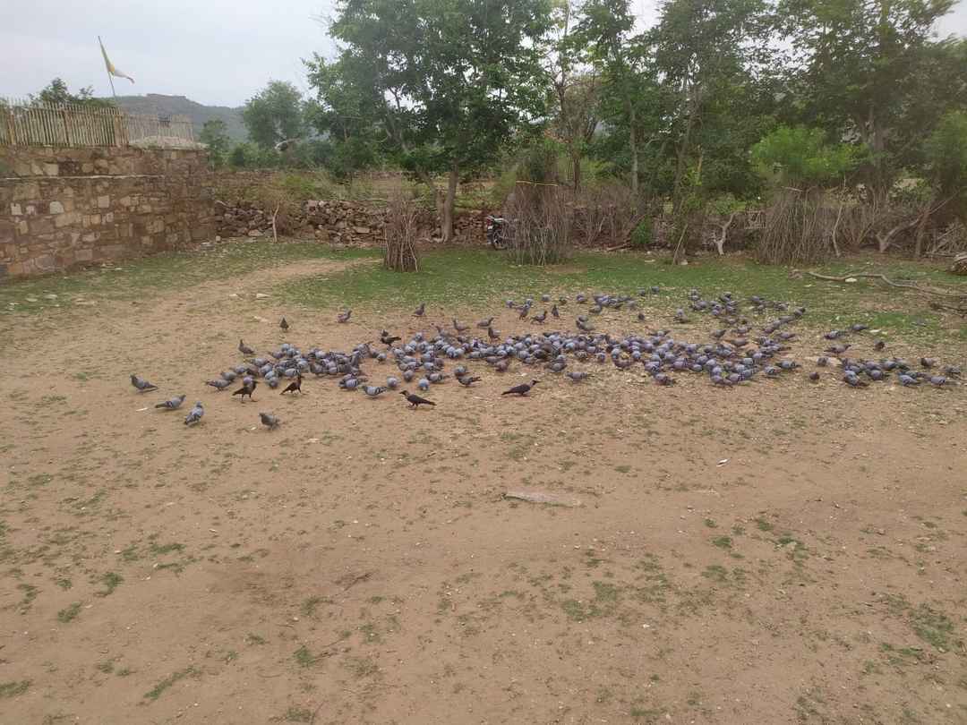 Photo of राजस्थान में भी छुपा है एक खुजराहों, दिल्ली से बस दो घंटे की दूरी पर by Yadav Vishal