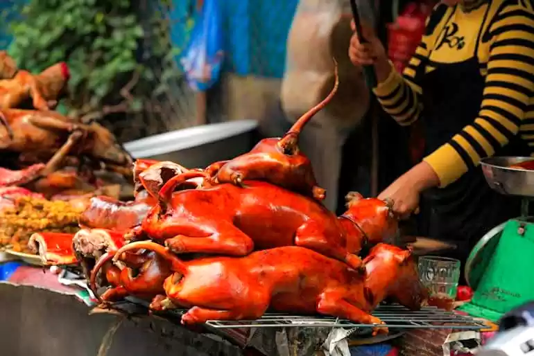 Photo of भारत में खाए जाने वा