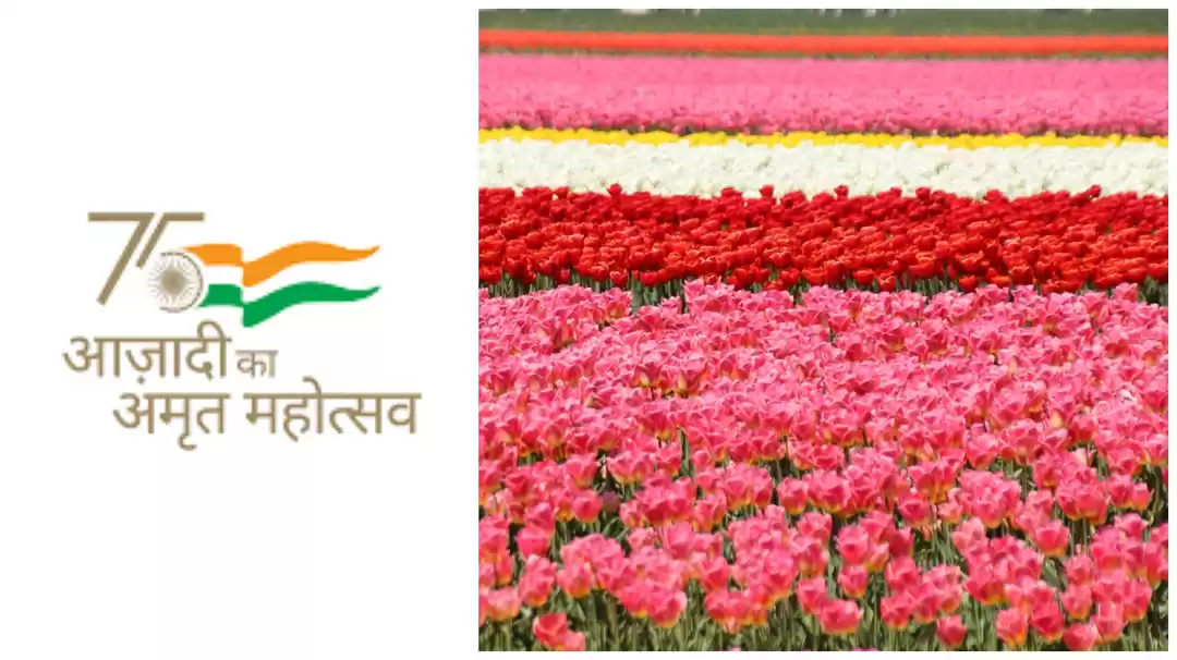 Photo of स्वतंत्रता के 75 वें