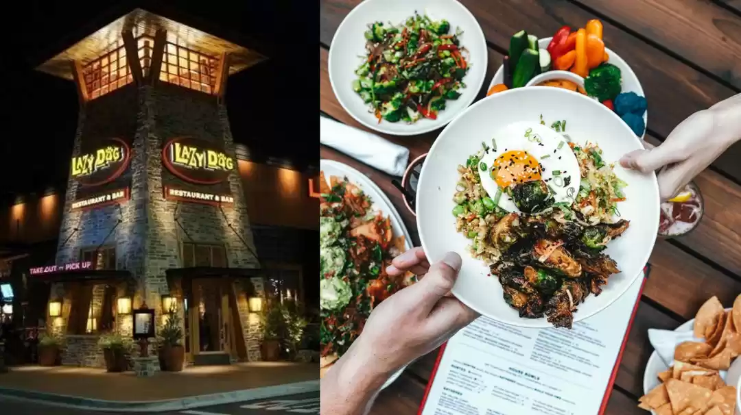 Photo of मनाली में खाने के शौ