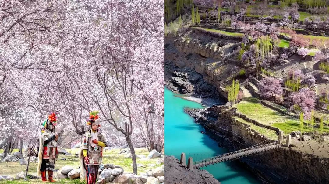 Photo of लद्दाख में पर्यटकों