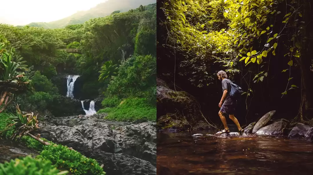 Photo of दूधसागर को भी टक्कर 