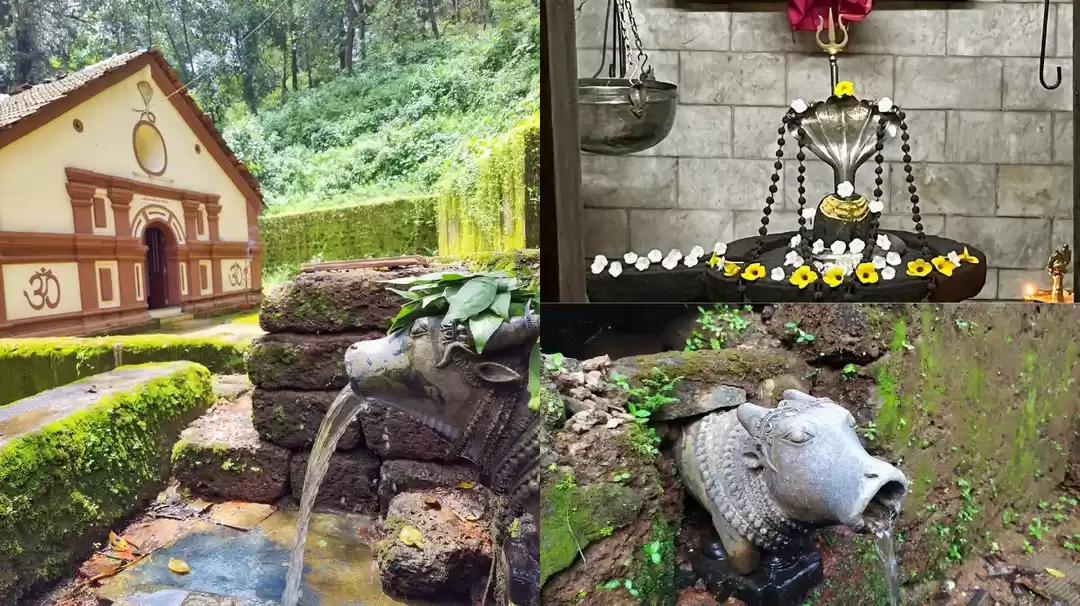 Photo of कमलेश्वर महादेव मंदि