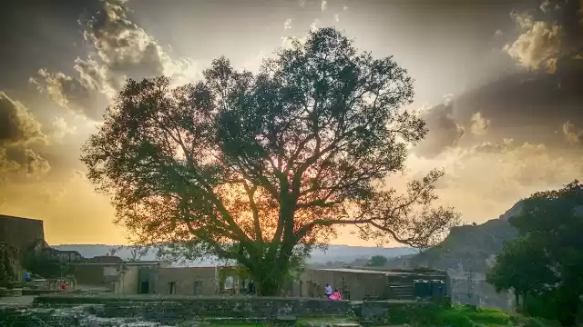 Photo of The Pahadi Traveller