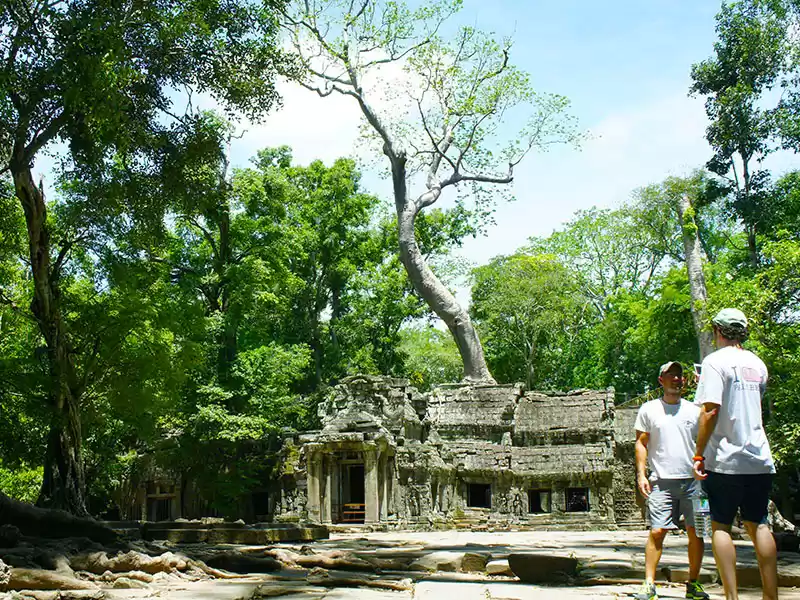 Photo of Ta Prohm Temple in C