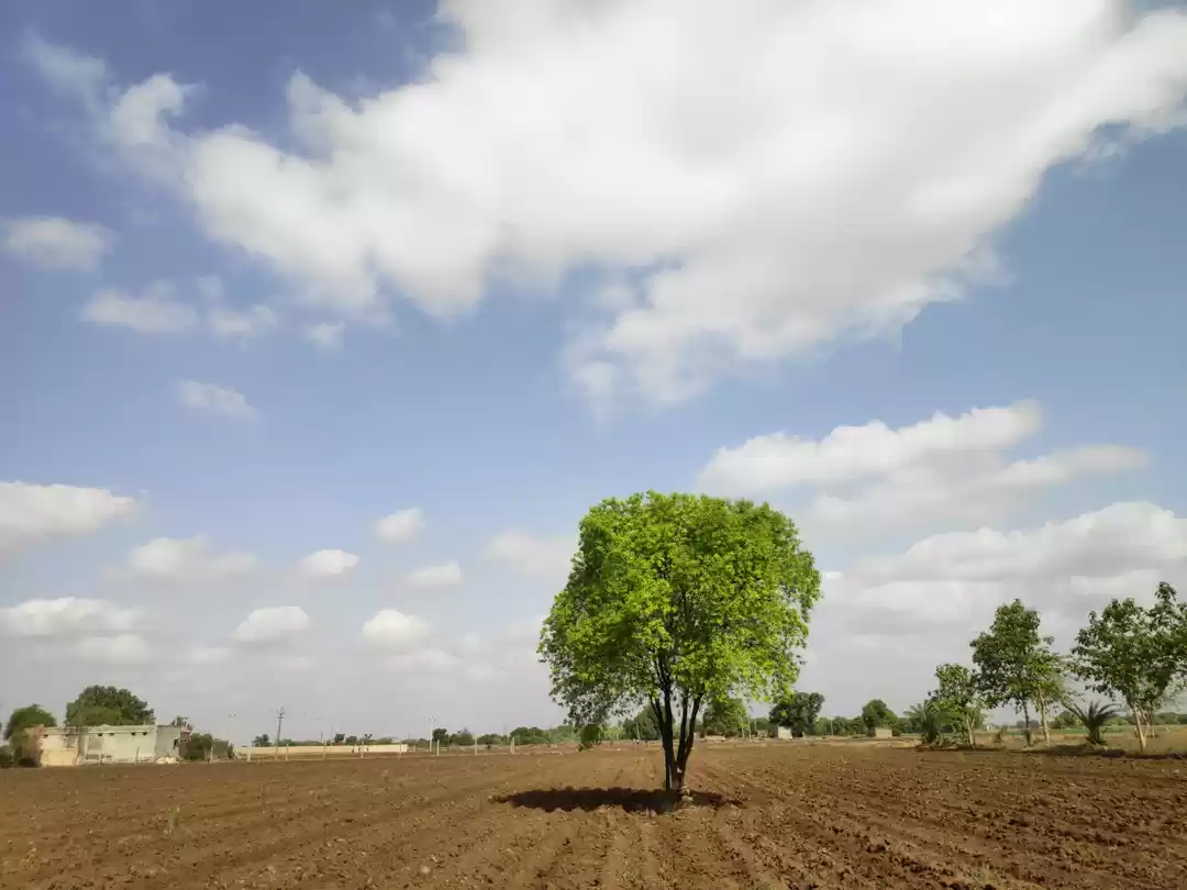 Photo of Which nature color g