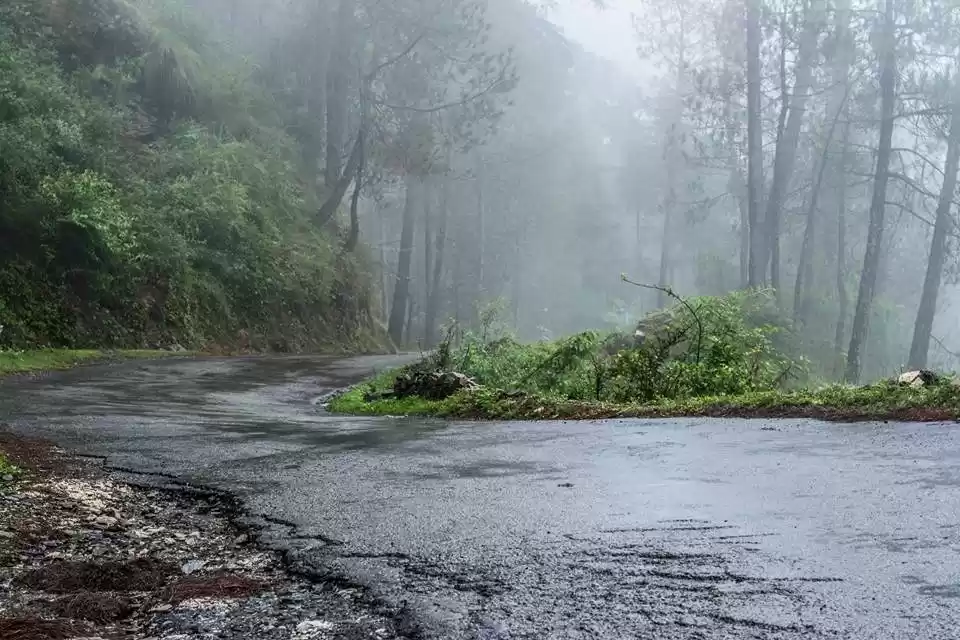 Photo of Chail-Koti-Shimla!