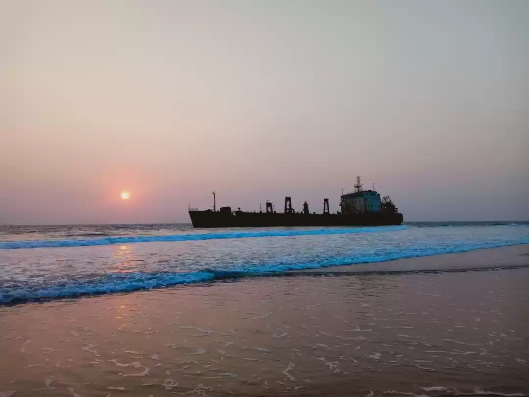 Photo of Took these pics whil