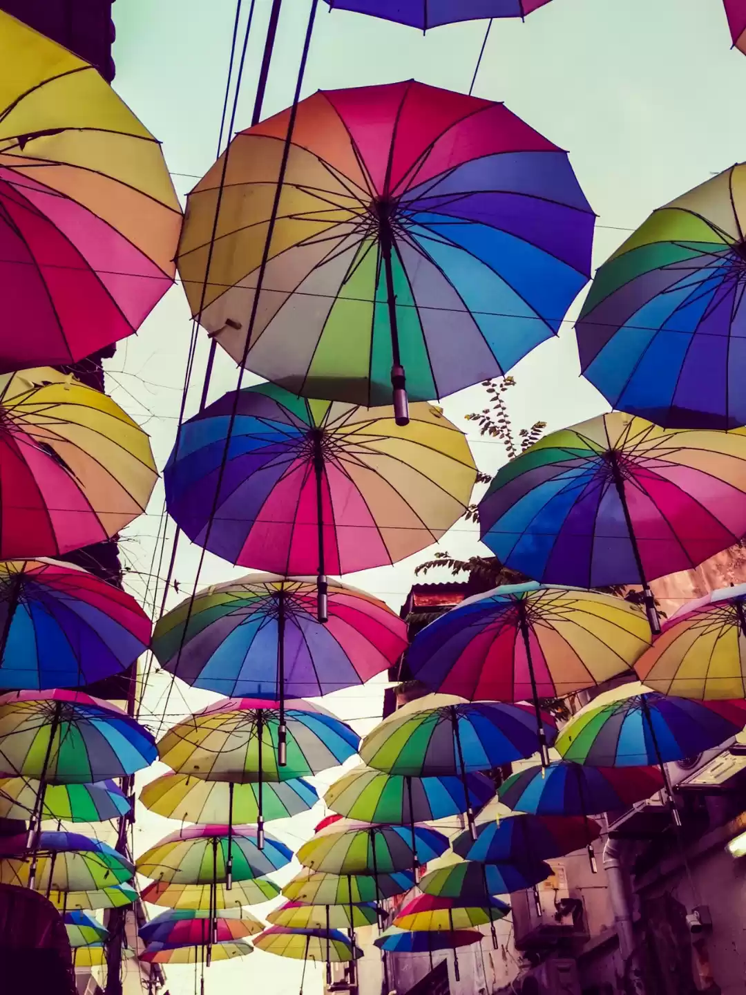 Photo of 📸 Art street penang