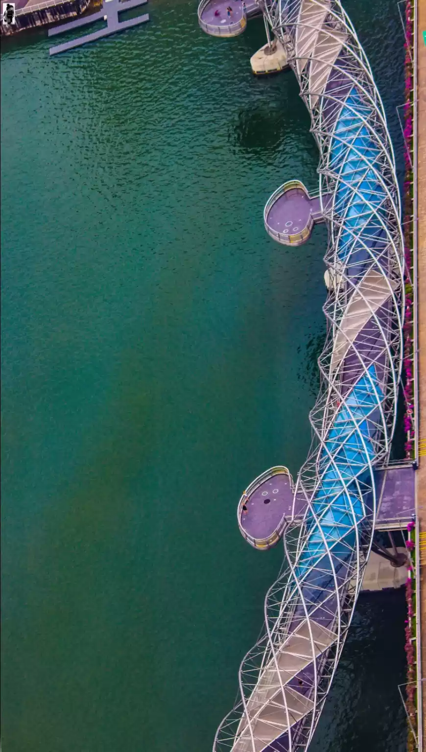 Photo of Helix Bridge Singapo