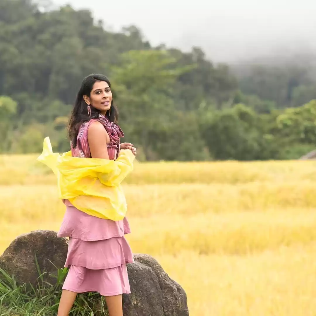Photo of Misty Paddy Fields o