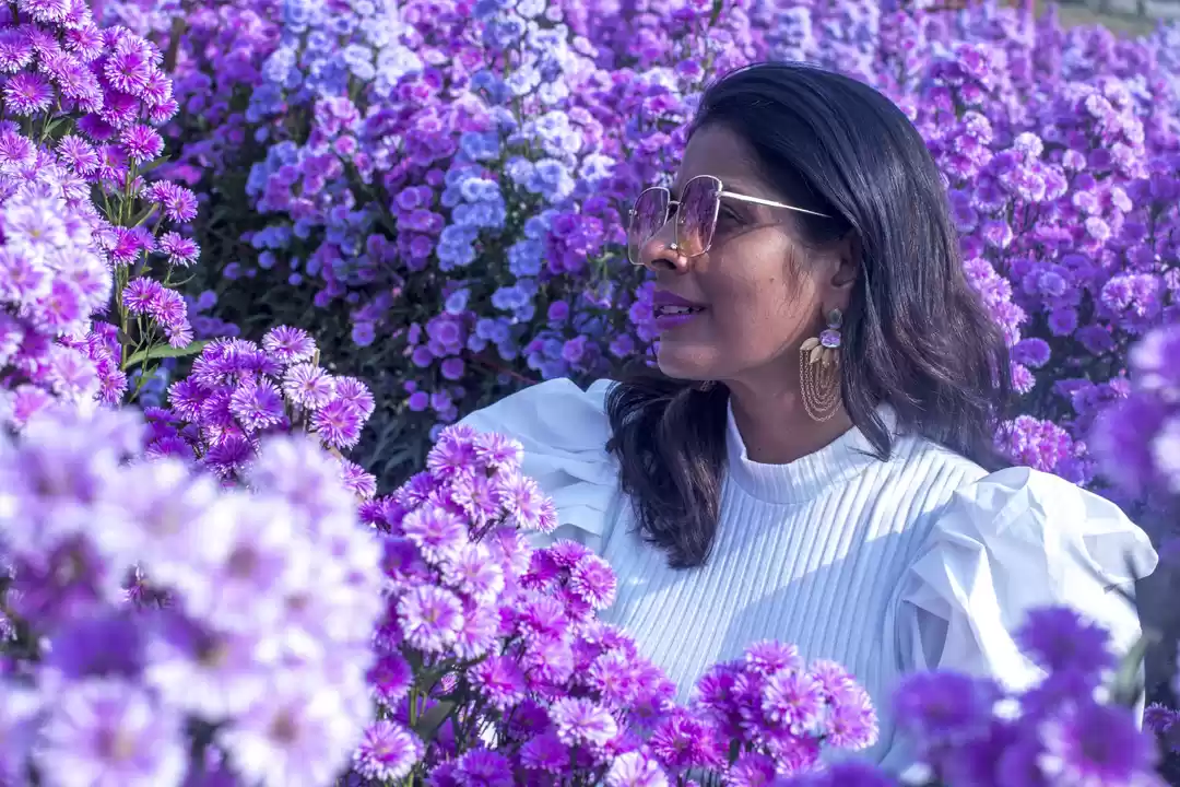 Photo of Flowers of Every Col