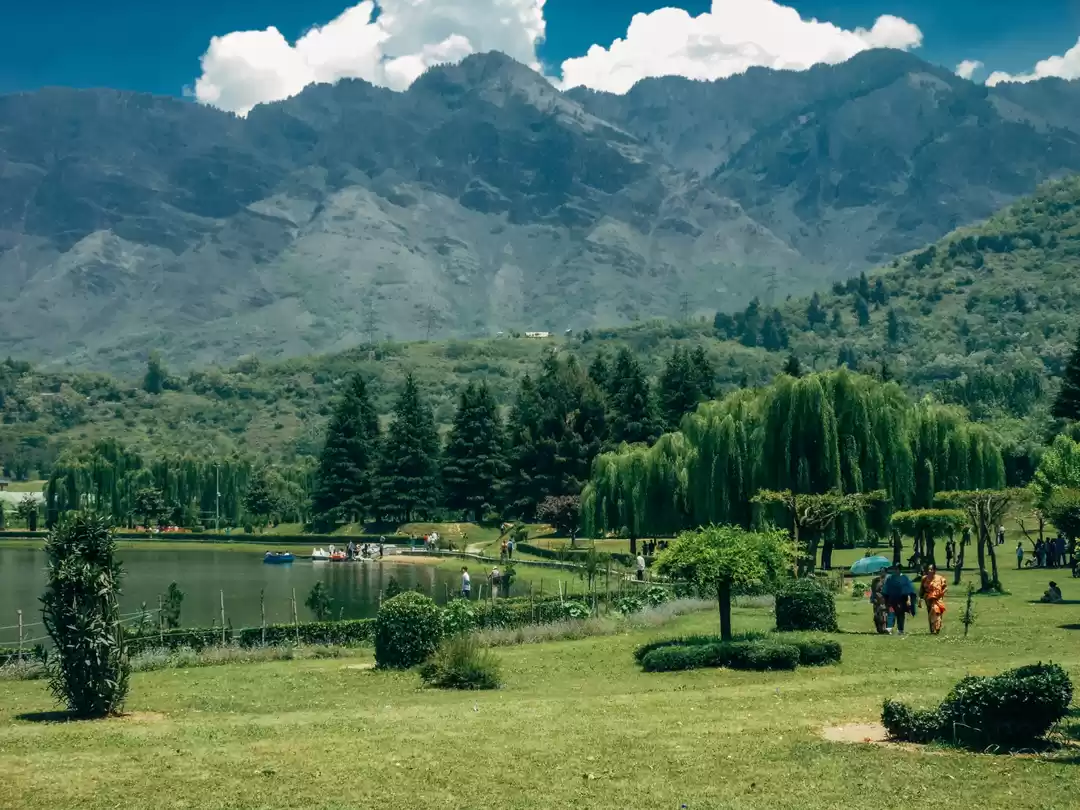 Photo of natures canvas