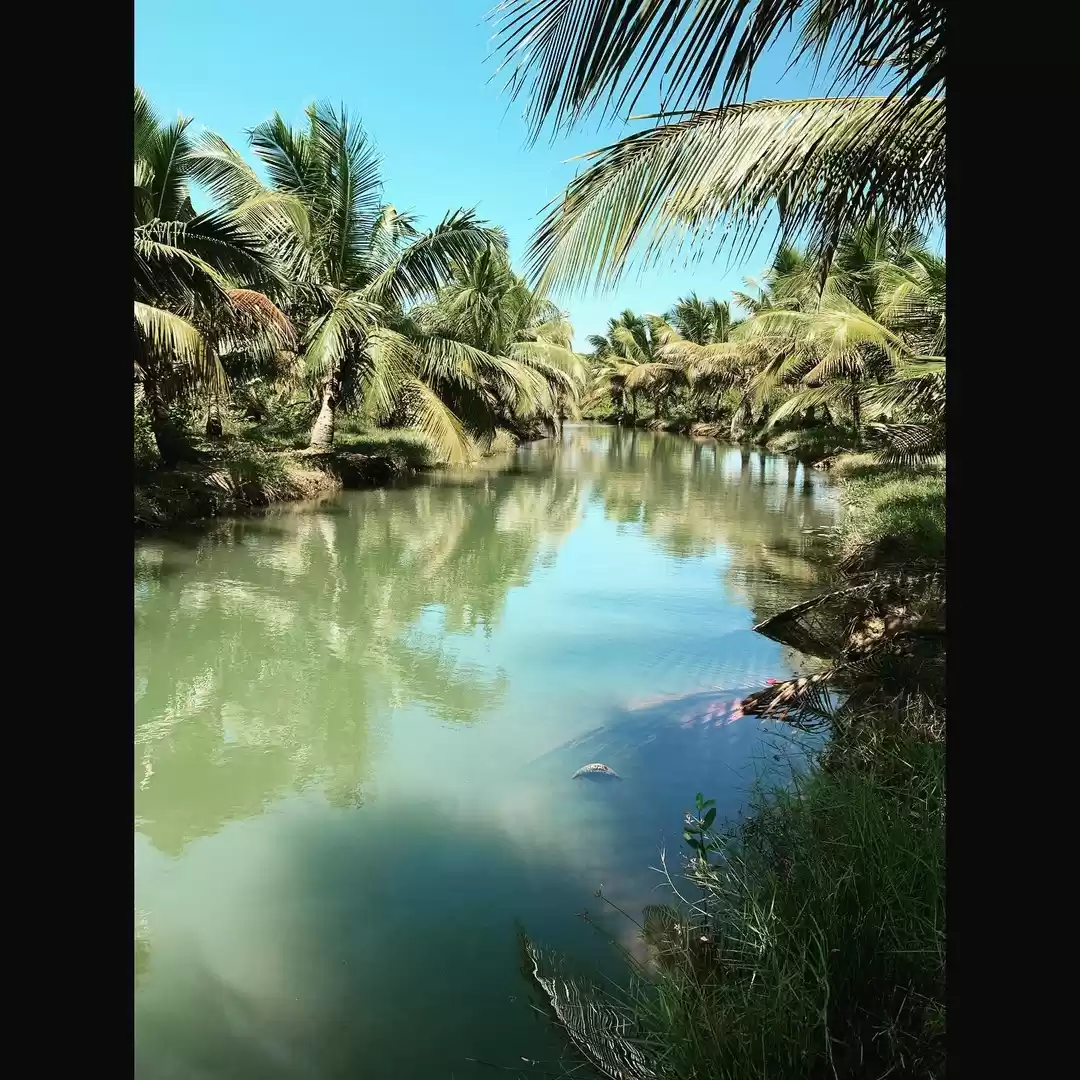 Photo of Kerala's Best Destin