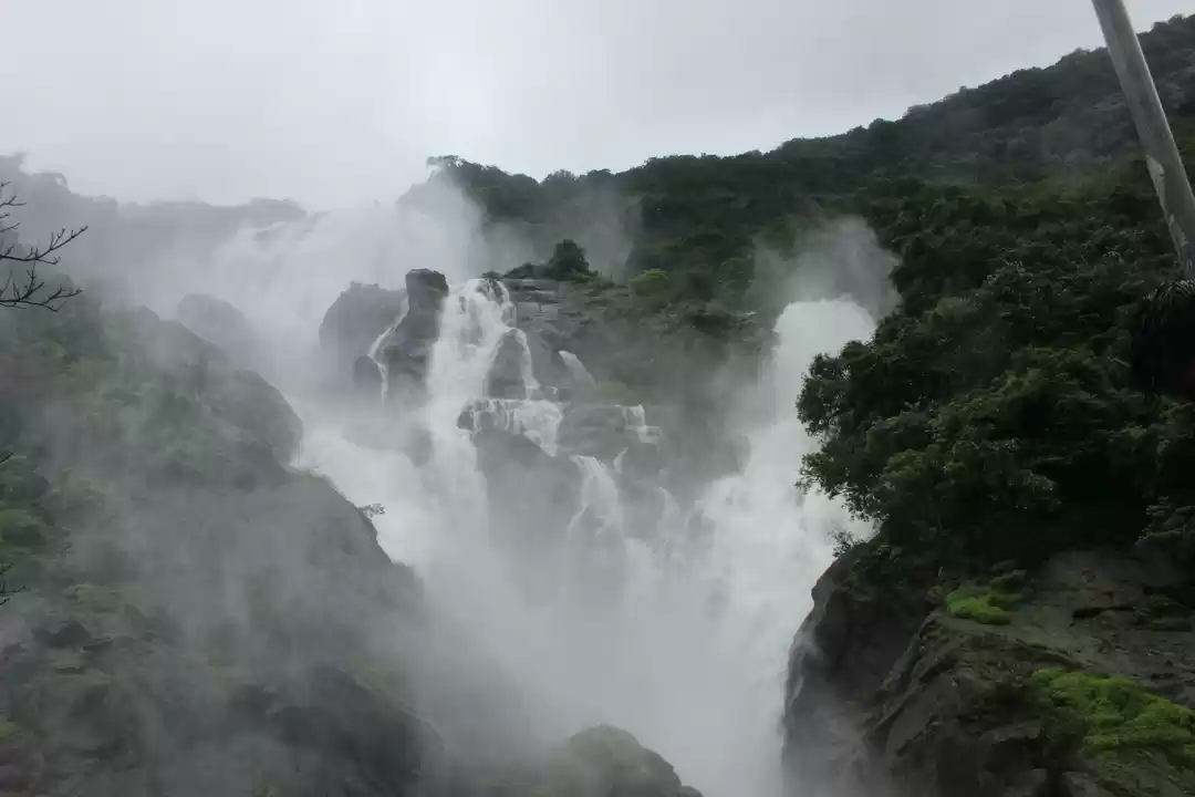 Photo of Goa-Pearl of the Ori