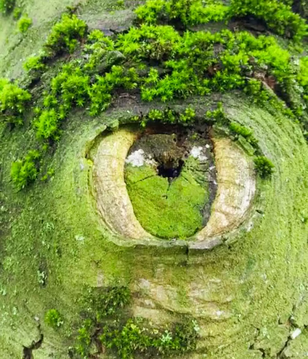 Photo of भारत की कुछ हैरतंगेज़