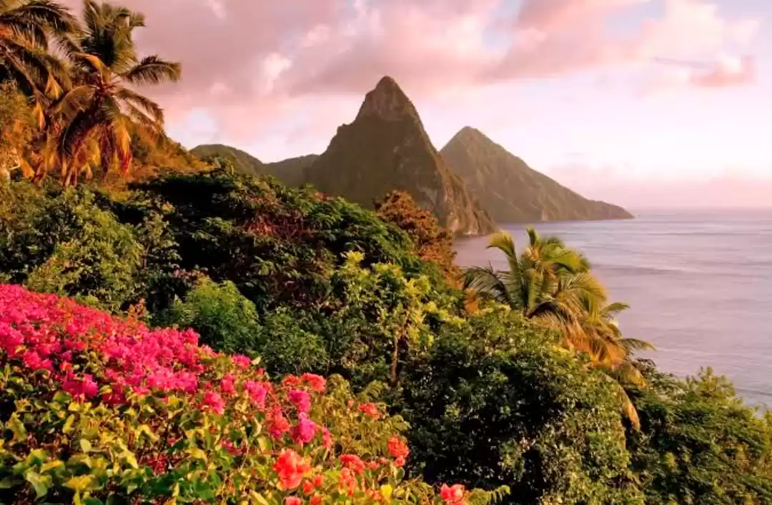 Photo of हनीमून का है प्लान? 