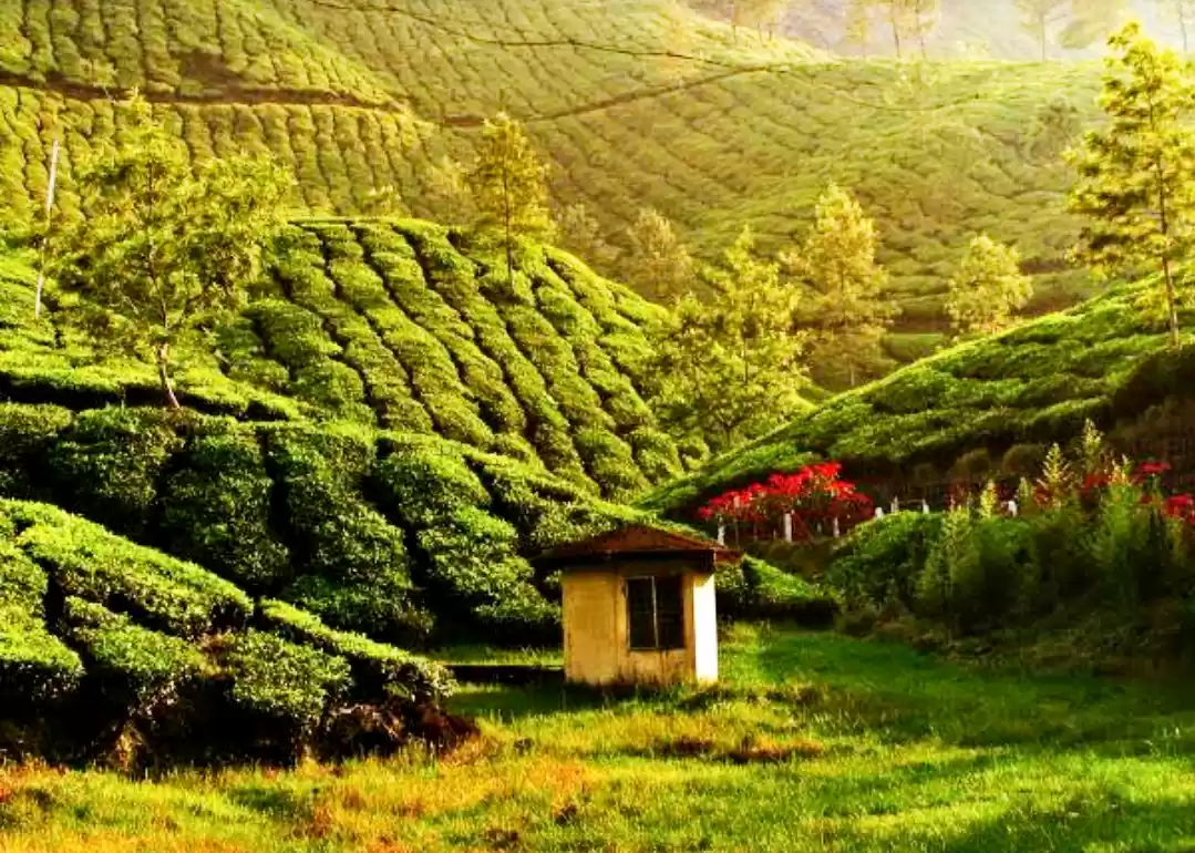 Photo of पार्टनर संग कम बजट म