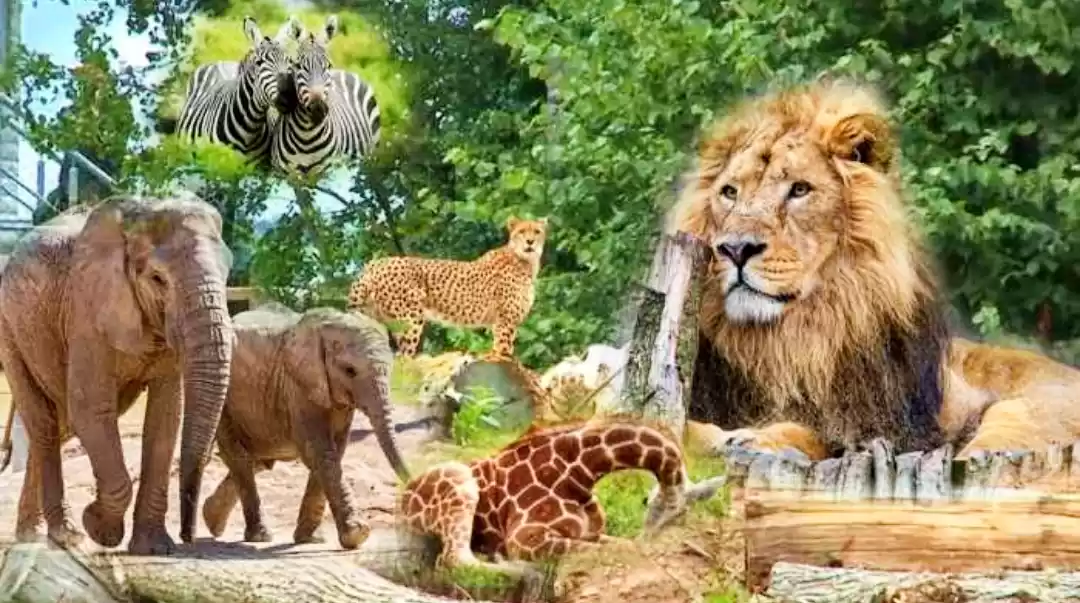 Photo of जानिए भारत के सबसे ब